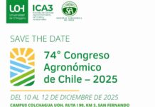 Marcando un hito: UOH será sede del 74° Congreso Agronómico de Chile Marcando un hito: UOH será sede del 74° Congreso Agronómico de Chile