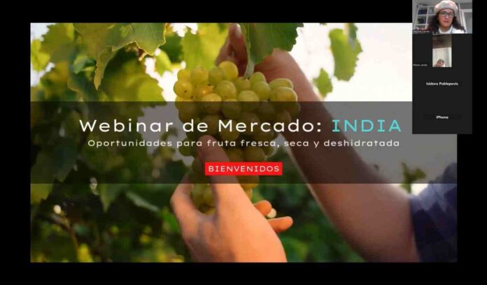 Más de 100 de productores participan en webinar que explora oportunidades para la fruta chilena en India