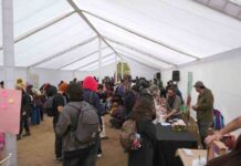 Masiva convocatoria al primer Festival Fungi de Talca
