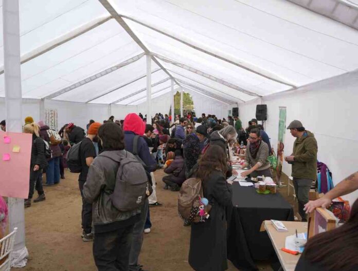 Masiva convocatoria al primer Festival Fungi de Talca Masiva convocatoria al primer Festival Fungi de Talca