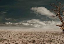 Menos impacto, más futuro: El cuidado del planeta empieza en casa Menos impacto, más futuro: El cuidado del planeta empieza en casa