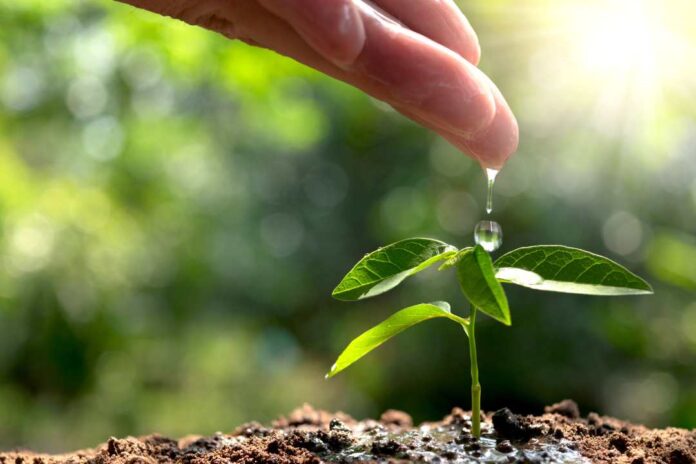 Mes del Medioambiente: Valmet avanza hacia la carbono Neutralidad con su agenda 360ª