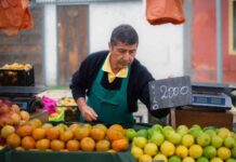 Ministro Valenzuela destaca rol de las ferias libres como pilar clave para la alimentación de las familias chilenas Ministro Valenzuela destaca rol de las ferias libres como pilar clave para la alimentación de las familias chilenas