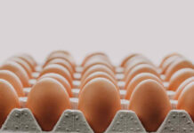 ¿Por qué subió el precio de los huevos durante mayo? Experto explica