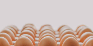 ¿Por qué subió el precio de los huevos durante mayo? Experto explica