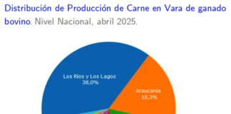 Producción de carne en vara de ganado bovino de la Región del Biobío presentó un incremento interanual de 0,9% en abril de 2025