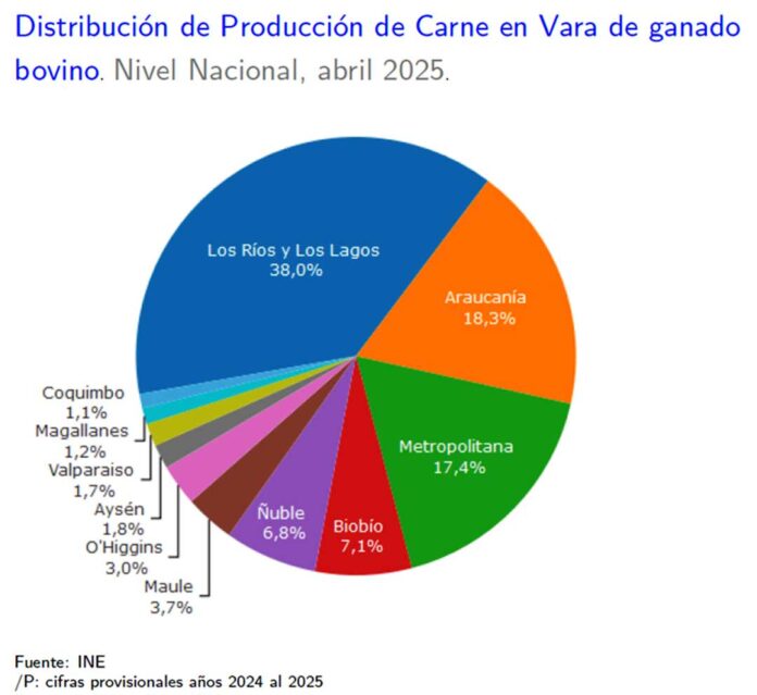 Producción de carne en vara de ganado bovino de la Región del Biobío presentó un incremento interanual de 0,9% en abril de 2025