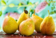 Productores de peras del Noroeste del Pacífico esperan una fuerte recuperación en 2025
