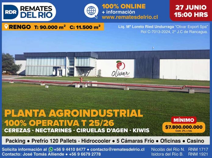 Remate Planta Exportadora 100% Operativa en Rengo: Una Oportunidad Única para el Sector Frutícola Remate Planta Exportadora 100% Operativa en Rengo: Una Oportunidad Única para el Sector Frutícola