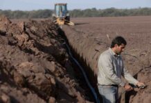 Rivulis lanza recurso educativo para ayudar a los agricultores a elegir el sistema de riego adecuado para cultivos en hileras