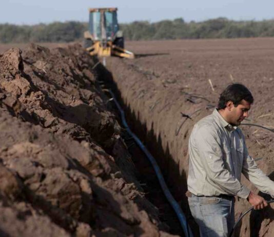 Rivulis lanza recurso educativo para ayudar a los agricultores a elegir el sistema de riego adecuado para cultivos en hileras Rivulis lanza recurso educativo para ayudar a los agricultores a elegir el sistema de riego adecuado para cultivos en hileras