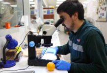 SAG moderniza infraestructura sanitaria y crea unidad de inteligencia con apoyo del BID