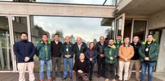 Sector forestal evalúa positivamente la NIMF N°15 a 20 años de su implementación