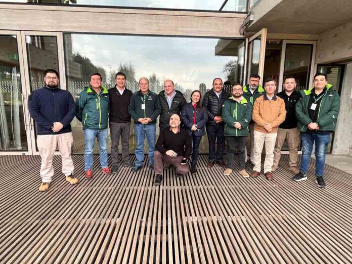 Sector forestal evalúa positivamente la NIMF N°15 a 20 años de su implementación Sector forestal evalúa positivamente la NIMF N°15 a 20 años de su implementación