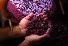 Viña Concha y Toro y HUBTEC lanzan ReWine, convocatoria abierta a proyectos de innovación en la industria vitivinícola