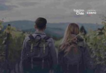  Viñas chilenas ofrecen panoramas únicos para disfrutar en familia