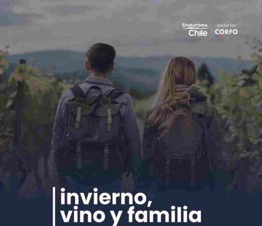  Viñas chilenas ofrecen panoramas únicos para disfrutar en familia
