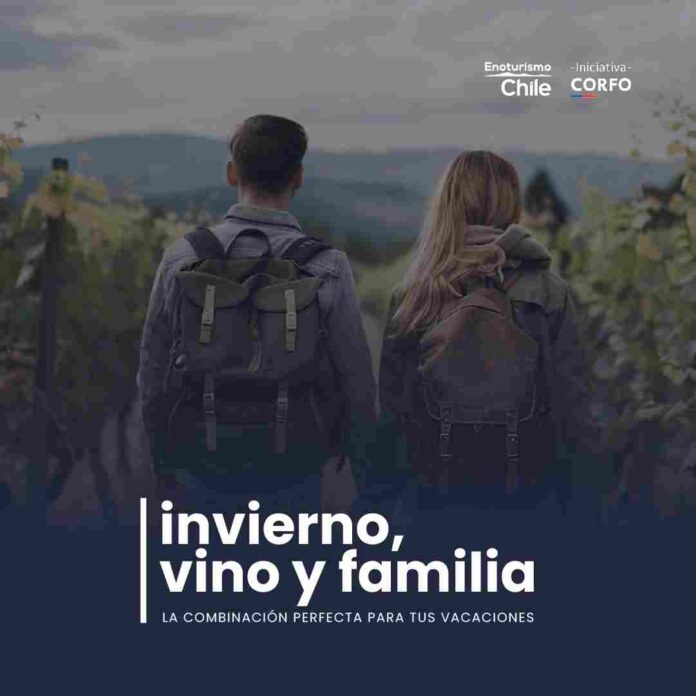  Viñas chilenas ofrecen panoramas únicos para disfrutar en familia