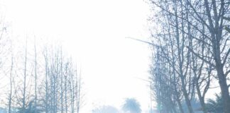 Proyecciones de invierno: Lluvias cortas e intensas seguidas de largos periodos de frío extremo