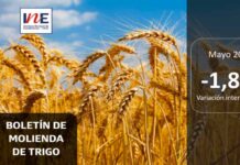 INE Biobío publica cifras de molienda de trigo correspondiente a mayo de 2025 INE Biobío publica cifras de molienda de trigo correspondiente a mayo de 2025