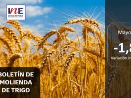 INE Biobío publica cifras de molienda de trigo correspondiente a mayo de 2025