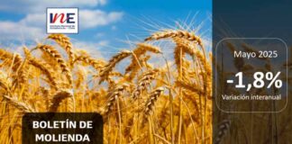 INE Biobío publica cifras de molienda de trigo correspondiente a mayo de 2025