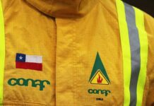 Fedetur arremete por anuncio de paro indefinido de funcionarios de CONAF: “Provocan un enorme daño al turismo y al país”