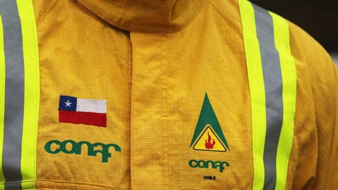 Fedetur arremete por anuncio de paro indefinido de funcionarios de CONAF: “Provocan un enorme daño al turismo y al país” Fedetur arremete por anuncio de paro indefinido de funcionarios de CONAF: “Provocan un enorme daño al turismo y al país”