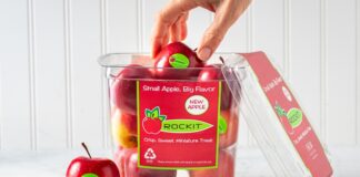 Rockit Every Little Moment