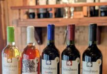 INDAP BIOBIO INVITA A POSTULAR AL SELLO MANOS CAMPESINAS A EMPRENDEDORES RURALES