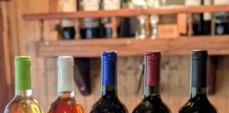 INDAP BIOBIO INVITA A POSTULAR AL SELLO MANOS CAMPESINAS A EMPRENDEDORES RURALES