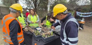 Educación ambiental en empresas: trabajadores de Volcán asisten a talleres de huertos urbanos
