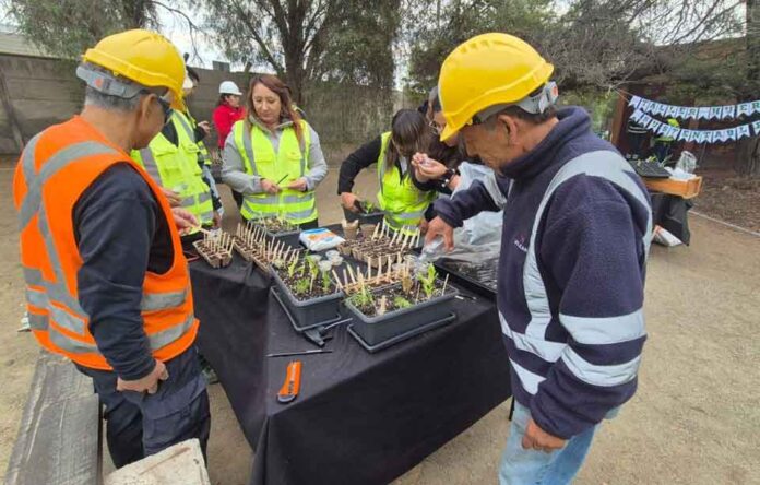 Educación ambiental en empresas: trabajadores de Volcán asisten a talleres de huertos urbanos Educación ambiental en empresas: trabajadores de Volcán asisten a talleres de huertos urbanos