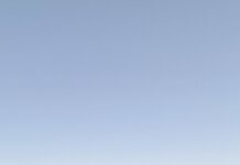 Chile extiende su red de monitoreo fenológico a ecosistemas del norte Chile extiende su red de monitoreo fenológico a ecosistemas del norte