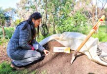 72 PEQUEÑOS PRODUCTORES DEL BIOBÍO CULMINAN SU FORMACIÓN EN PRÁCTICAS AGROECOLÓGICAS GRACIAS A INDAP 72 PEQUEÑOS PRODUCTORES DEL BIOBÍO CULMINAN SU FORMACIÓN EN PRÁCTICAS AGROECOLÓGICAS GRACIAS A INDAP