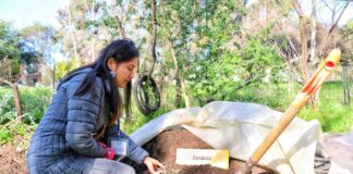 72 PEQUEÑOS PRODUCTORES DEL BIOBÍO CULMINAN SU FORMACIÓN EN PRÁCTICAS AGROECOLÓGICAS GRACIAS A INDAP