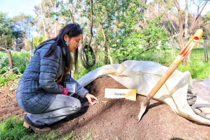72 PEQUEÑOS PRODUCTORES DEL BIOBÍO CULMINAN SU FORMACIÓN EN PRÁCTICAS AGROECOLÓGICAS GRACIAS A INDAP 72 PEQUEÑOS PRODUCTORES DEL BIOBÍO CULMINAN SU FORMACIÓN EN PRÁCTICAS AGROECOLÓGICAS GRACIAS A INDAP