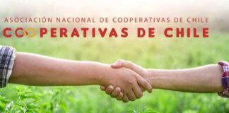 ANCCh anuncia propuestas programáticas para candidatos presidenciales en el marco del Día Internacional de las Cooperativas