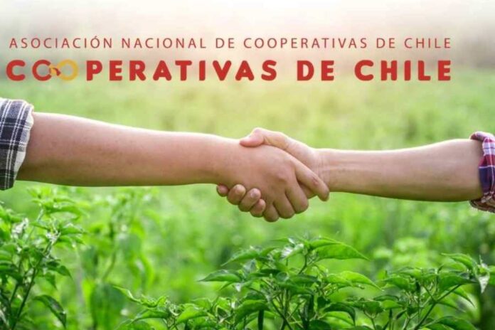 ANCCh anuncia propuestas programáticas para candidatos presidenciales en el marco del Día Internacional de las Cooperativas