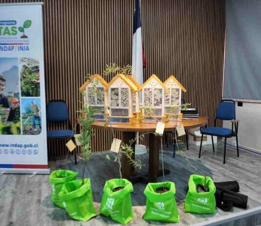 Agricultores de la Región Metropolitana cierran etapa clave hacia una agricultura más sostenible