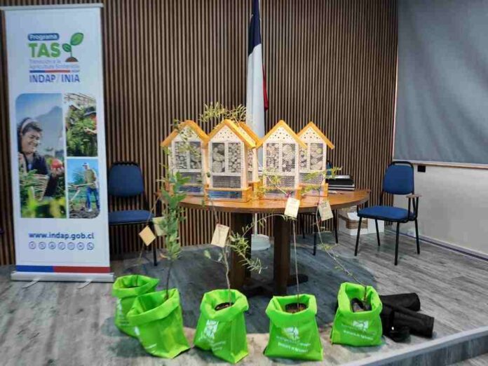 Agricultores de la Región Metropolitana cierran etapa clave hacia una agricultura más sostenible