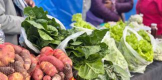 Agricultura y Salud invitan a participar en tercer seminario regional que promueve los sistemas alimentarios sostenibles