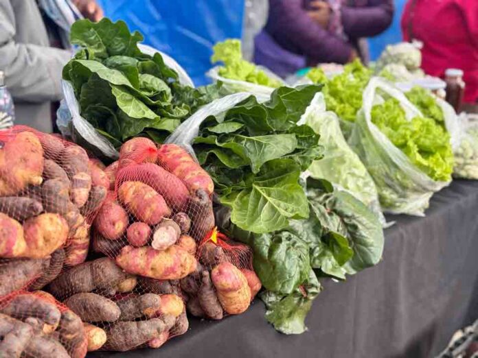 Agricultura y Salud invitan a participar en tercer seminario regional que promueve los sistemas alimentarios sostenibles Agricultura y Salud invitan a participar en tercer seminario regional que promueve los sistemas alimentarios sostenibles