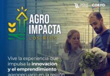 AgroImpacta 2025 CIC Los Ríos CIC Los Ríos será una de las sedes del evento AgroImpacta 2025 con jornada dedicada a la innovación agroalimentaria en Máfil
