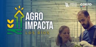 CIC Los Ríos será una de las sedes del evento AgroImpacta 2025 con jornada dedicada a la innovación agroalimentaria en Máfil