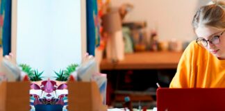 Becas del 50% de la OEA y Universidad Europea: Una oportunidad única para que los chilenos impulsen su futuro profesional