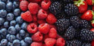 Berries Se incrementaron 24% las ventas en el Reino Unido en esta temporada