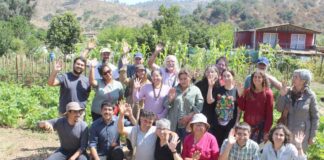 Biodiversidad: el valor de polinizadores, enemigos naturales y bandas florales en los agroecosistemas