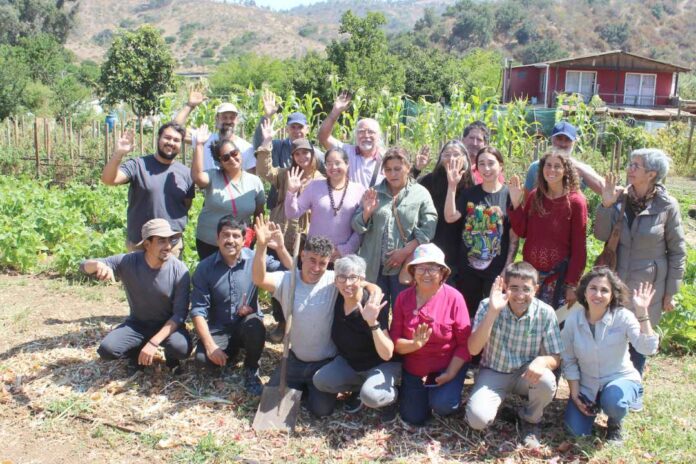 Biodiversidad el valor de polinizadores, enemigos naturales y bandas florales en los agroecosistemas Biodiversidad: el valor de polinizadores, enemigos naturales y bandas florales en los agroecosistemas