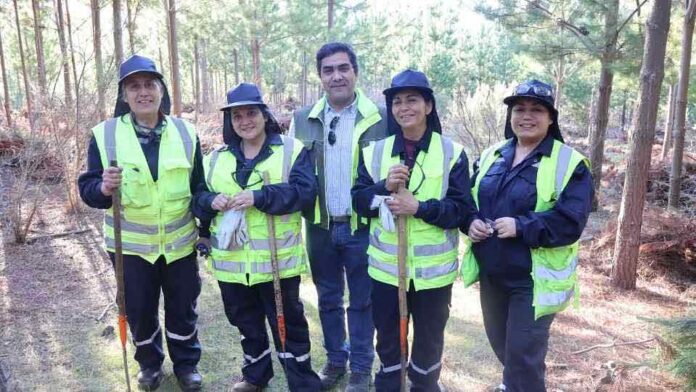 CONAF presenta avances y desafíos del Programa de Emergencia de Empleo con fuerte contratación femenina y participación multicultural CONAF presenta avances y desafíos del Programa de Emergencia de Empleo con fuerte contratación femenina y participación multicultural